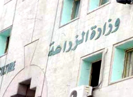 محاسب بـ«التفتيش المالي» سابقا: وزير الزراعة الجديد استولى على 25 فدانا 1 b6a78b7f404030efff4790e0449401bd