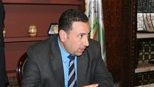 محيى عبيد، نقيب الصيادلة
