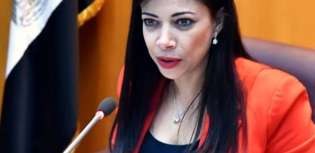 وزيرة الإستثمار توجه رسالة هامة قبل التعديل الوزاري