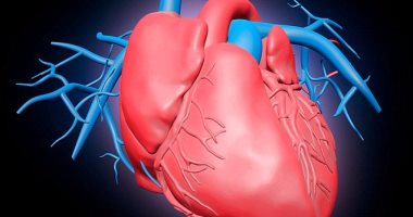 أعراض غريبة تنبهك بوجود مشاكل فى القلب تعرف عليها 12 القلب