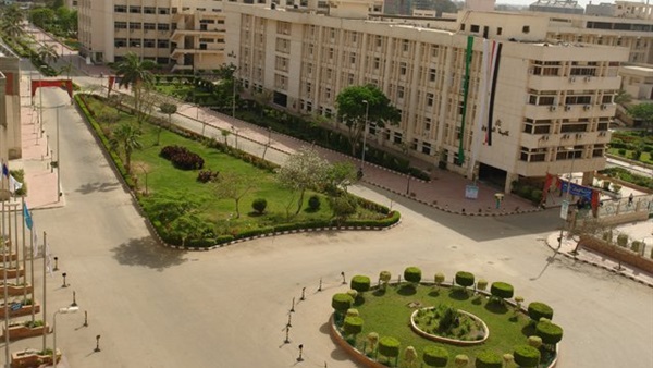 طب الزقازيق يناقش دمج أهداف التنمية في الجدارات المهنية للصحة العامة