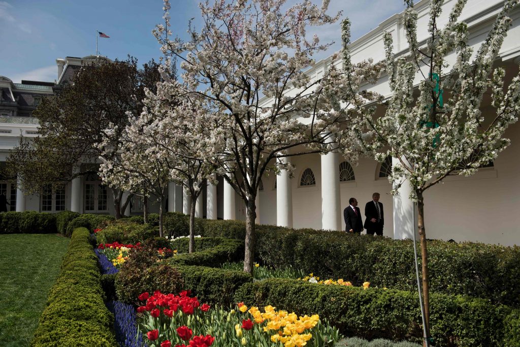 .. السيسي وترامب يتجولان داخل حديقة البيت الأبيض 1
