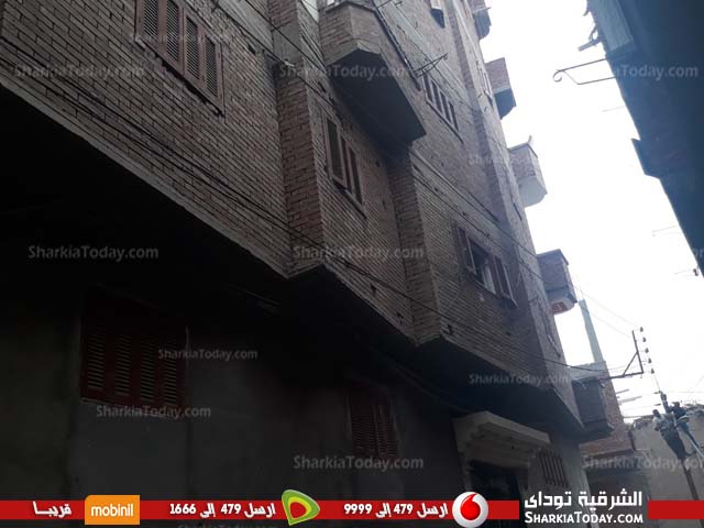 بالصور.. صيانة أعمدة وأسلاك الكهرباء بقرية البلاشون ببلبيس 3 بالصور.. صيانة أعمدة وأسلاك الكهرباء بقرية البلاشون ببلبيس 2