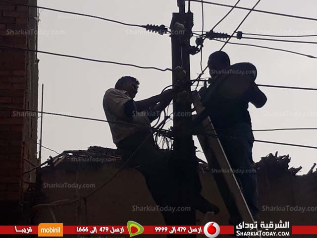 بالصور.. صيانة أعمدة وأسلاك الكهرباء بقرية البلاشون ببلبيس 1 بالصور.. صيانة أعمدة وأسلاك الكهرباء بقرية البلاشون ببلبيس 3
