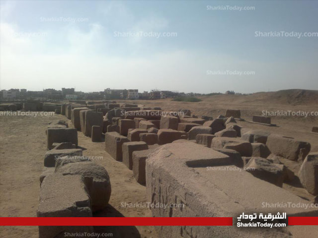 الآثار توافق على ترميم بعض المقابر الملكية بصان الحجر 28 صان الحجر