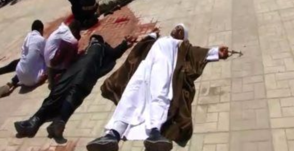 طلاب يجسدون عملية إرهابية فى عرض مسرحي بمدرسة بأبوحماد 14 طلاب