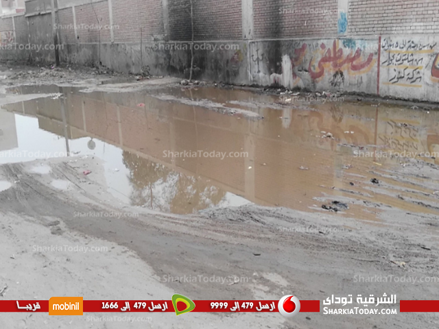 بالفيديو.. شوارع فاقوس تغرق في مياه الصرف الصحي 4 مياه الصرف الصحي تغرق شوارع فاقوس3