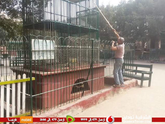 حديقة الحيوان بالزقازيق تستقبل العيد بشكل جديد 2 الحيوانات 2