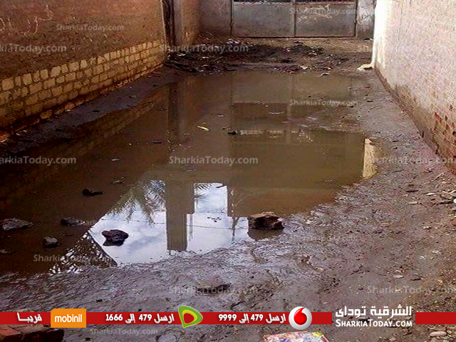 قرية «كفر أباظة» بالزقازيق غارقة فى مياه الصرف.. و المسئولين لا حياة لمن تنادى 1 قرية كفر أباظة غارقة فى مياه الصرف و المسئولين لا حياة لمن تنادى 2