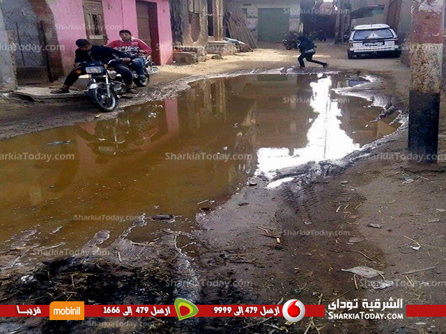 قرية «كفر أباظة» بالزقازيق غارقة فى مياه الصرف.. و المسئولين لا حياة لمن تنادى 5 قرية كفر أباظة غارقة فى مياه الصرف و المسئولين لا حياة لمن تنادى 6