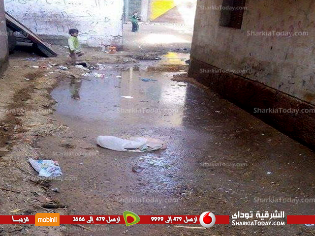 قرية «كفر أباظة» بالزقازيق غارقة فى مياه الصرف.. و المسئولين لا حياة لمن تنادى 2 قرية كفر أباظة غارقة فى مياه الصرف و المسئولين لا حياة لمن تنادى