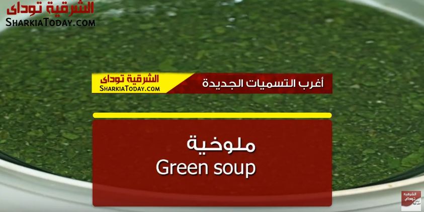 أغرب المصطلحات الجديدة في مصر.. ملوخية Green soup