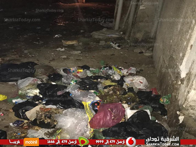 كارثة تواجه أهالي المساكن بالعصلوجي والوحدة المحلية لا تحرك ساكناً 1 الزبالة 1