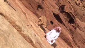 سعودي يعيش بين الجبال منذ 3 أعوام.. تعرف على قصته 1 سعودي يعيش بين الوعول منذ 3 أعوام.. تعرف على قصته2