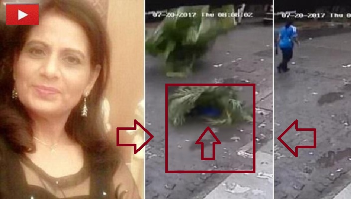 مشهد سقوط النخلة على مذيعة شهيرة فقتلتها ترصده الكاميرات الذكية