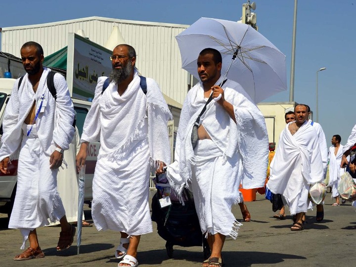 الصحة: ارتفاع عدد الوفيات بين الحجاج المصريين إلى 101 1 %D8%A7%D9%84%D8%B5%D8%AD %D8%AA%D8%B9%D9%84%D9%86 %D9%88%D9%81%D8%A7%D8%A9 %D8%A7%D9%84%D8%AD%D8%A7%D9%84%D8%A9 %D8%A7%D9%84%D8%B1%D8%A7%D8%A8%D8%B9%D8%A9 %D8%B9%D8%B4%D8%B1 %D8%A8%D9%8A%D9%86 %D8%A7%D9%84%D8%AD%D8%AC%D8%A7%D8%AC %D8%A7%D9%84%D9%85%D8%B5%D8%B1%D9%8A%D9%8A%D9%86