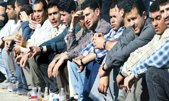 القوى العاملة : البطالة انخفضت 1% في سنة ونصف وهدفنا نوصل لـ6.7 فى 2021 1 %D8%A7%D9%84%D9%82%D9%88%D9%8A
