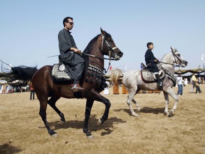 تستعد لانطلاق مهرجان الخيول العربية في هذا الموعد