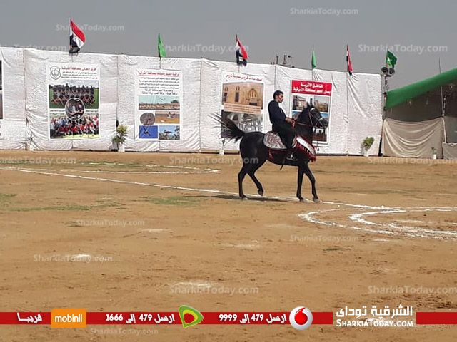 استمرار مهرجان الشرقية للخيول العربية لليوم الثاني ببلبيس 2 استمرار مهرجان الشرقية للخيول العربية لليوم الثاني ببلبيس 3