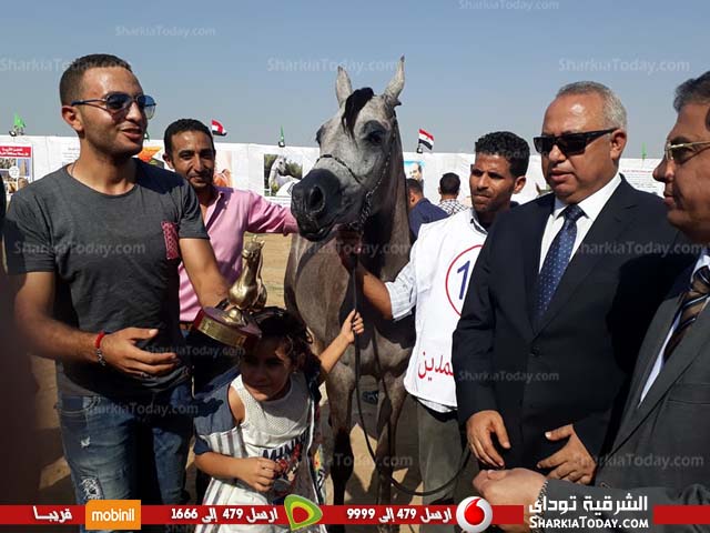 محافظ الشرقية يكرم الفائزين فى مسابقة مهرجان الخيول العربية ببلبيس 1 تكريم الخيول العربية الفائزة بالمراكز الأولى بمهرجان الشرقية للخيول 1