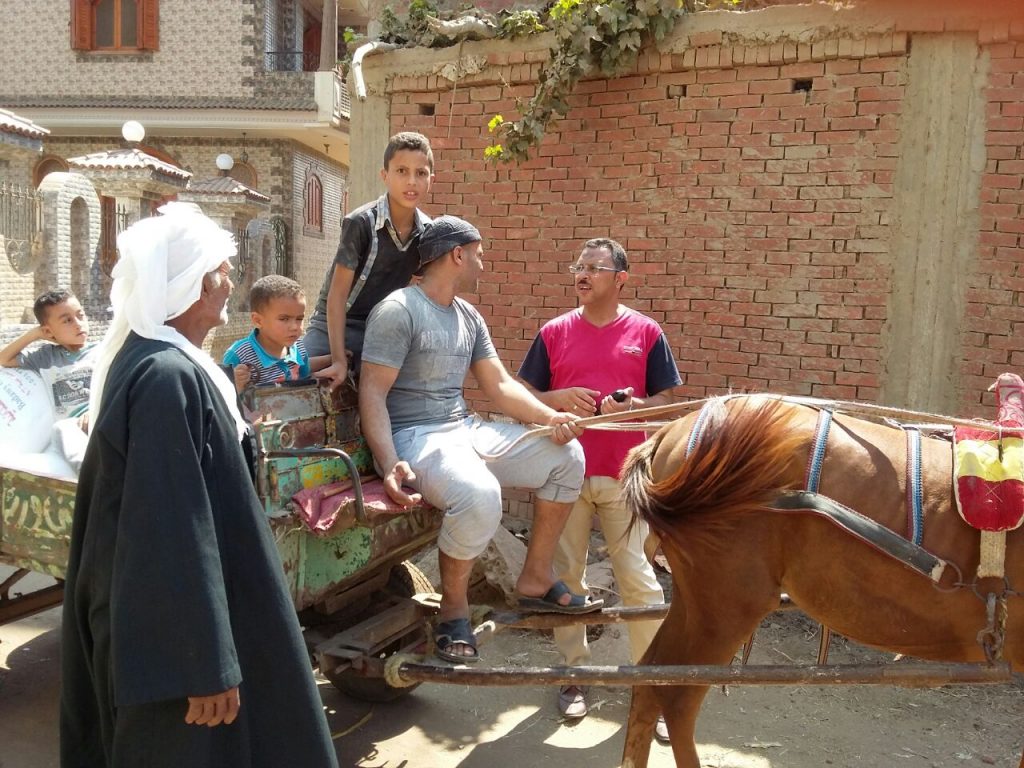 جهاز «شئون البيئة» بالشرقية يعقد لقاءات لتوعية الفلاحين بمنيا القمح 2 جهاز «شئون البيئة» بالشرقية يعقد ندوات لتوعية الفلاحين بمنيا القمح 3