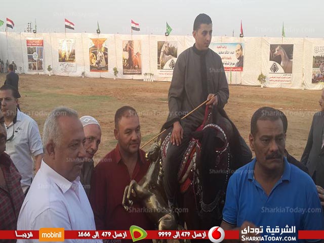 ختام اليوم الثاني لفاعليات مهرجان الخيول العربية بالشرقية 4 ختام اليوم الثاني بمهرجان الخيول العربية بالشرقية 3