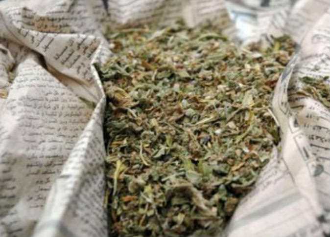 ضبط تشكيل عصابي بحوزته 4 كيلو بانجو بالحسينية 1 ضبط تشكيل عصابي بحوزته 4 كيلو بانجو بالحسينية