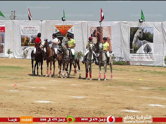 مهرجان الشرقية الخيول العربية ينطلق بفقرات فنية ورياضية 2 مهرجان الشرقية الخيول العربية ينطلق بفقرات فنية ورياضية 1