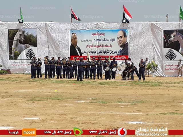 مهرجان الشرقية الخيول العربية ينطلق بفقرات فنية ورياضية 4 مهرجان الشرقية الخيول العربية ينطلق بفقرات فنية ورياضية 4