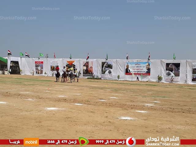 مهرجان الشرقية الخيول العربية ينطلق بفقرات فنية ورياضية 5 مهرجان الشرقية الخيول العربية ينطلق بفقرات فنية ورياضية 5