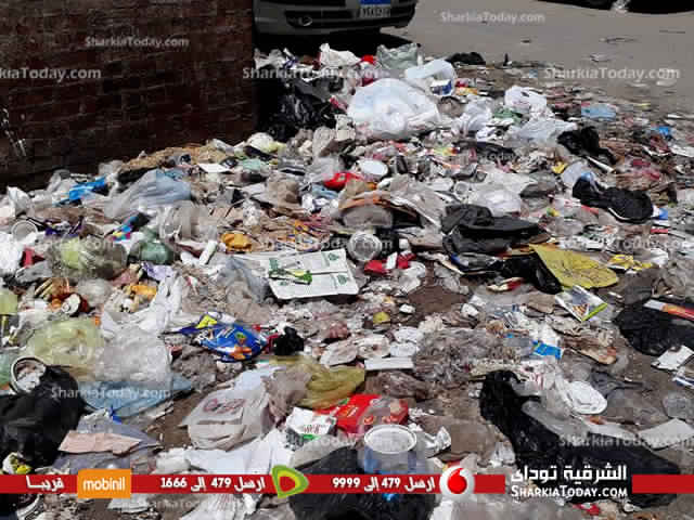 لما نشرته الشرقية توداى محافظ الشرقية يأمر بعمل ورديات لنظافة شوارع الزقازيق