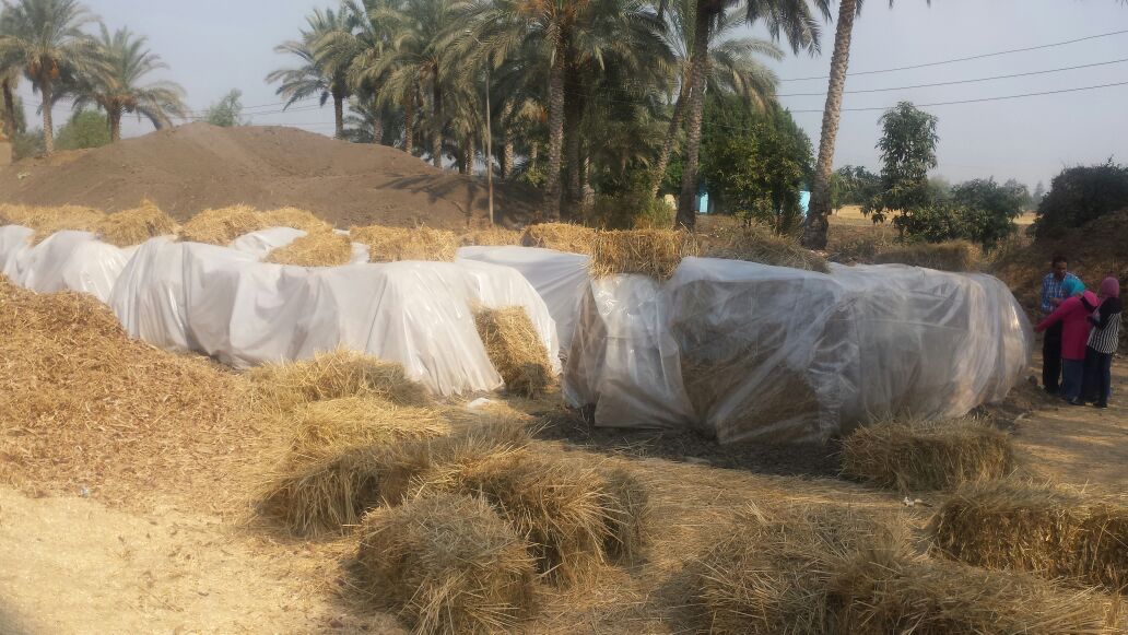 البيئة تقوم بفحص الكومات السمادية بالزقازيق وديرب نجم 1 البيئة تقوم بفحص الكومات السمادية بالزقازيق وديرب نجم
