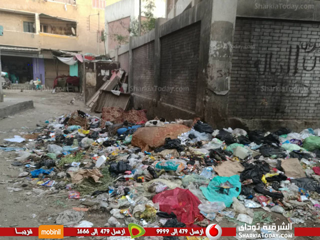 القمامة تحاصر محطة مياه «هرية رزنة» بالزقازيق 1 القمامة تحاصر محطة مياه «هرية رزنة» بالزقازيق2