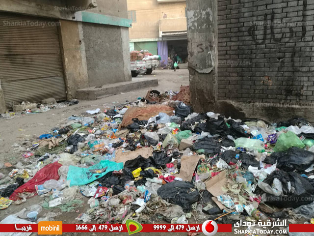 القمامة تحاصر محطة مياه «هرية رزنة» بالزقازيق 2 القمامة تحاصر محطة مياه «هرية رزنة» بالزقازيق3