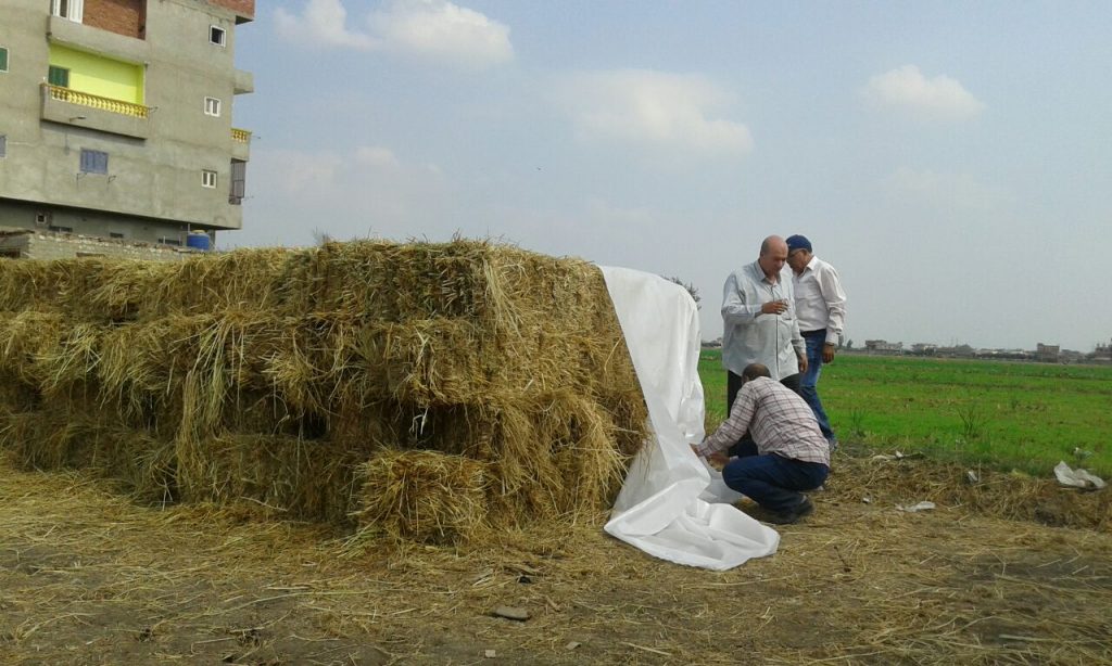 تدريب توعوي لكيفية الاستفادة من قش الأرز بأبوكبير2