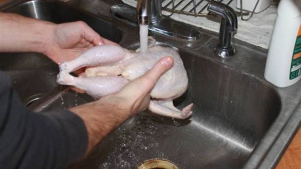 دجاج