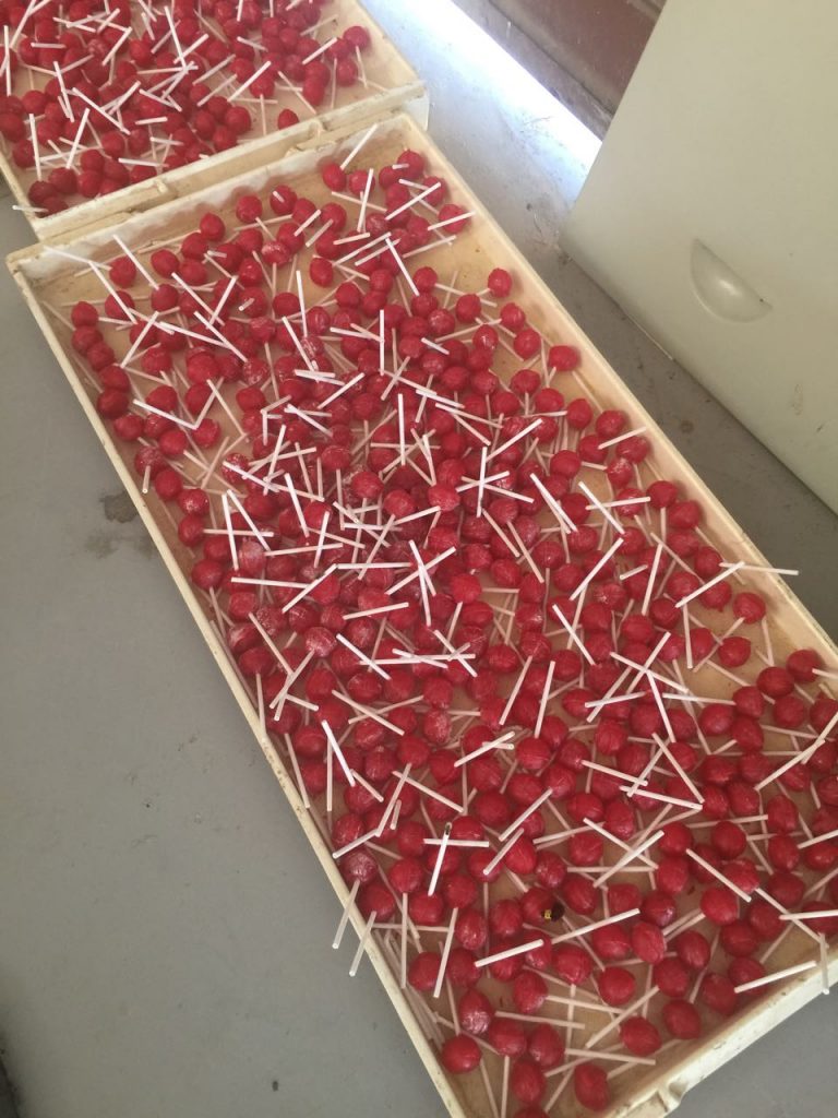 ضبط مصنع حلوى غير مرخص بالزقازيق 2 171346 IMG 20171202 WA0051