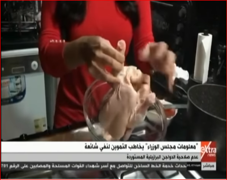 مذيعة «إكسترا نيوز» تطهو الدجاج المجمد على الهواء للتأكد من صلاحيتها 1 Capture