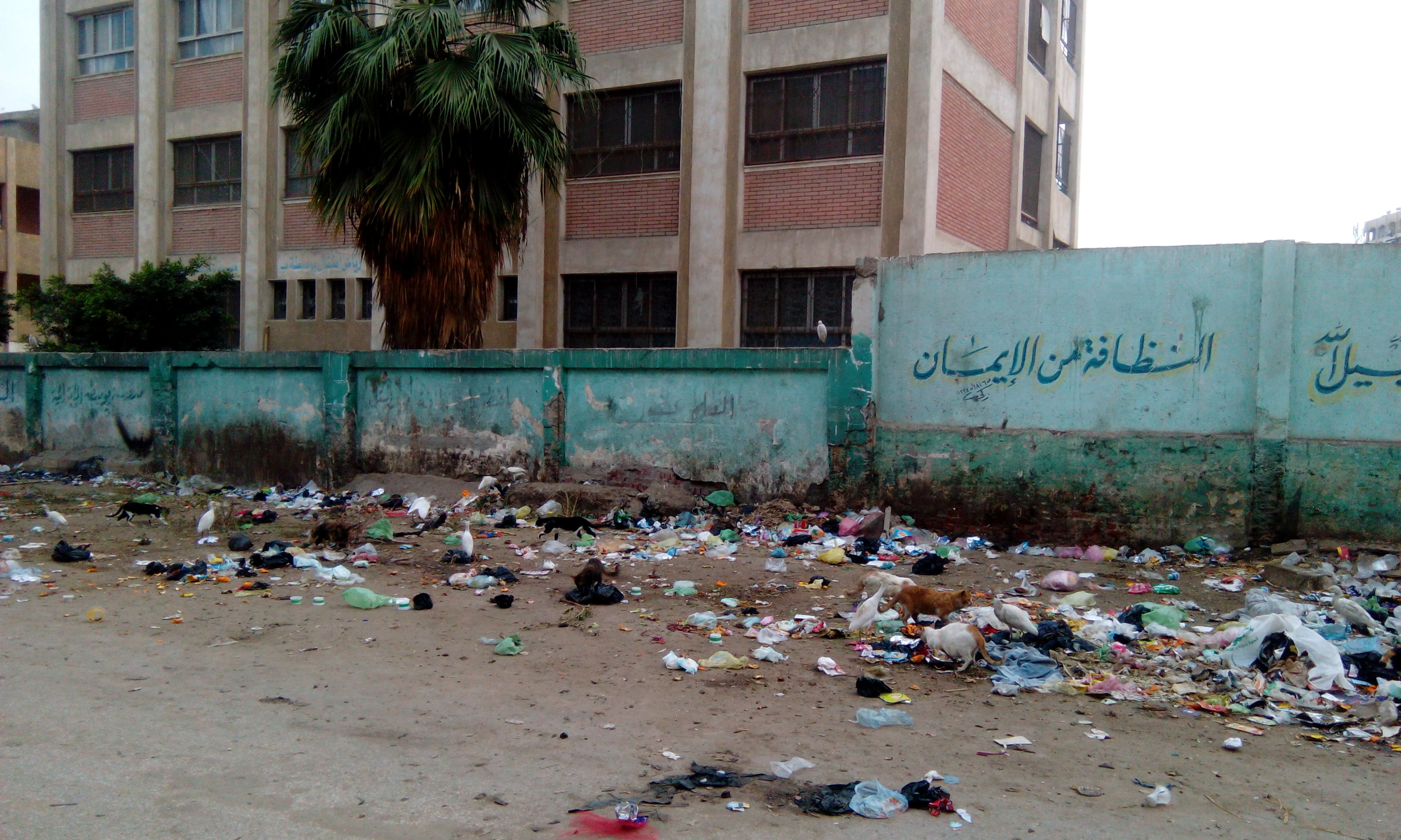 القمامة تهدد طلاب مدرسة بوبسطة الإعدادية بالزقازيق 2