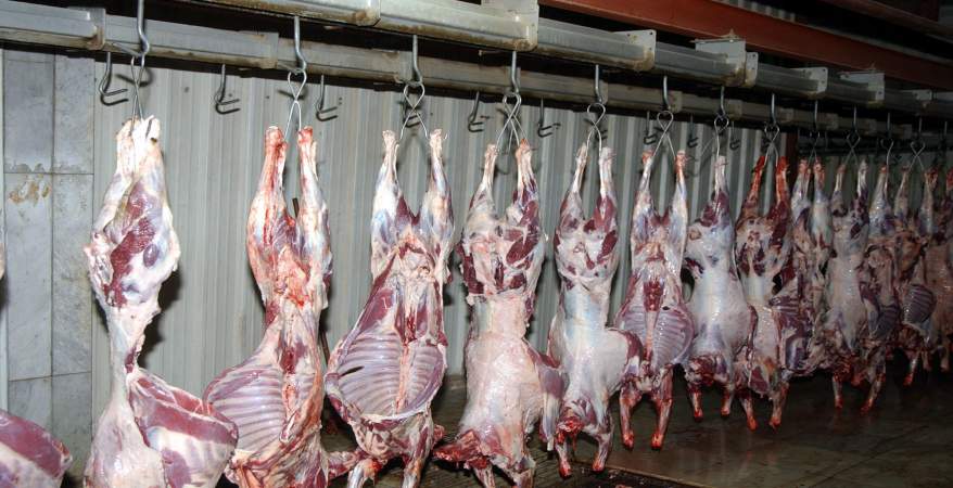بيع اللحوم تخضع للرقابة التموينية حرصاً على صحة وسلامة المواطنين