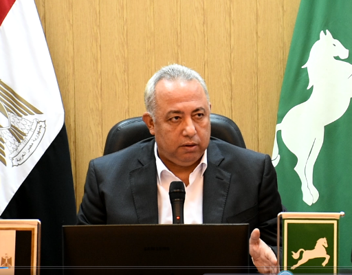 342 مليون و 400 ألف جنيه لتمويل 19 ألف و 963 مشروع بالشرقية