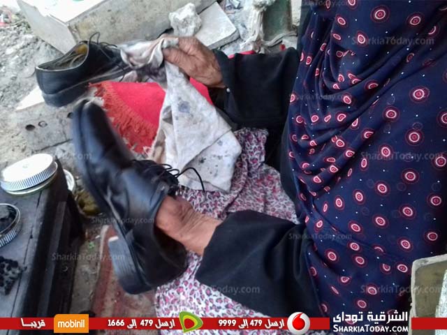 الزقازيق