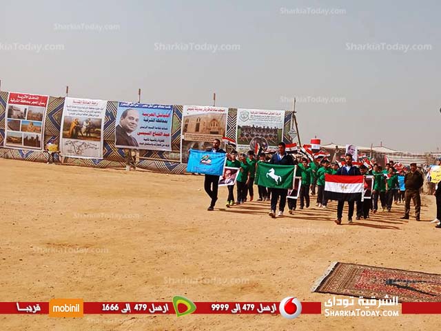 بدء فعاليات مهرجان الهجن بأرض مدينة بلبيس 1