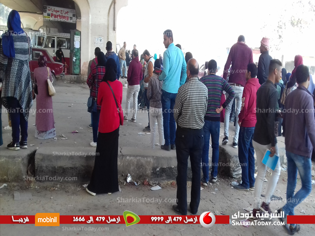 معاناة المواطن مع «السرفيس» بالزقازيق.. وطلاب الجامعة: «بنركب علب سردين» 4 عقدة المواطن الشعبطة في علبة السردين 4
