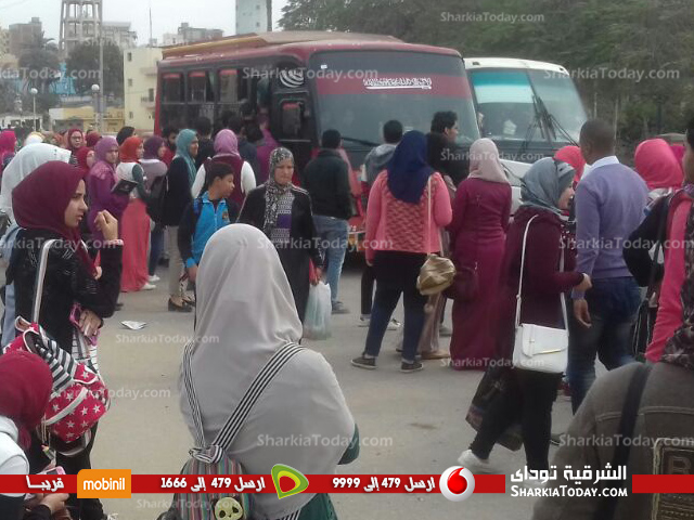 معاناة المواطن مع «السرفيس» بالزقازيق.. وطلاب الجامعة: «بنركب علب سردين» 5 عقدة المواطن الشعبطة في علبة السردين 6
