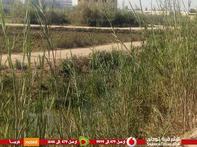 الإهمال يضرب طريق «الملاك» بأبوحماد .. والمسئولين نيام 2 فغغع