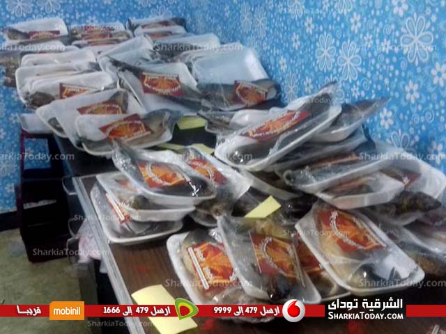 مكافحة الجوع بالزقازيق تشارك المسنين والمحتاجين احتفاليات شم النسيم