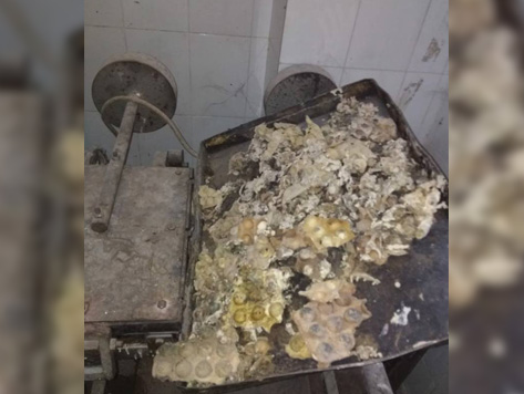 تحرير 62 محضر مخالفة لمنشآت غذائية بالشرقية 6 تحرير 62 محضر مخالفة لمنشآت غذائية بالشرقية3