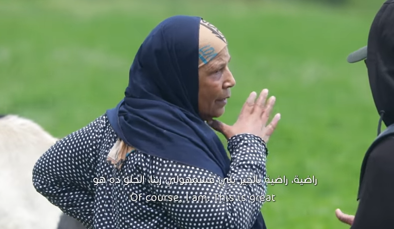 هدية لسيدة مصرية من برنامج قلبي.. تعبت يبني 2 خحخم