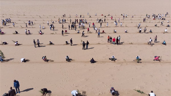 عملية الكثبان الرملية الإسرائيلية في أنجولا
